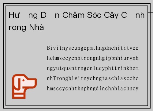 Hướng Dẫn Chăm Sóc Cây Cảnh Trong Nhà
