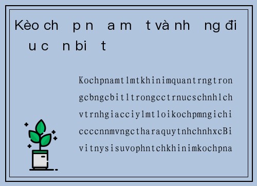 Kèo chấp nữa một và những điều cần biết
